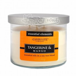 Tangerine & Mango - luxusná sviečka 418g Tangerine & Mango - luxusná sviečka 418g