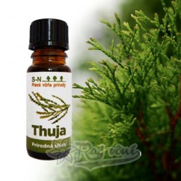 Thuja