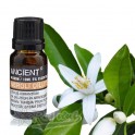 Neroli