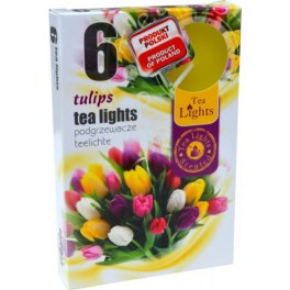 Čajové kahance - Tulipány